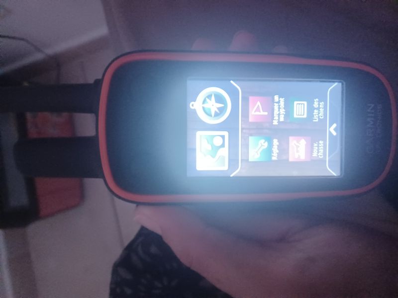 Collier GPS Chiens de chasse Alpha 100/T5