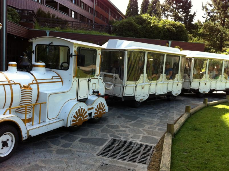 Petit train touristique