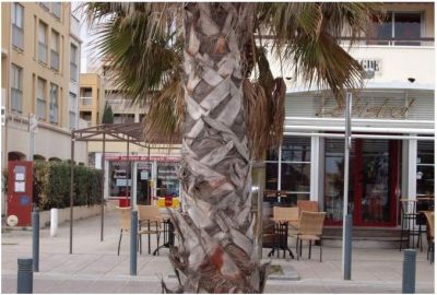 LOCAL COMMERCIAL 46 m² CAP D'AGDE