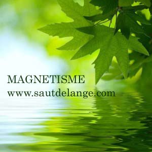 Magnétiseuse-Guérisseuse