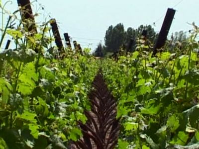 cherche commercial dans le dept 76