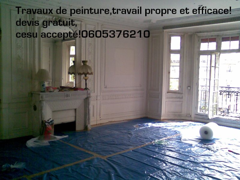 Travaux de rénovations habitat intérieur,travaux de peinture,Cesu accepté.