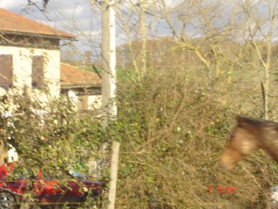 Propriété de 280  000 m² soit 28 ha