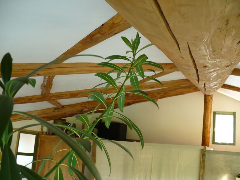 Loft atelier d'artiste  maison