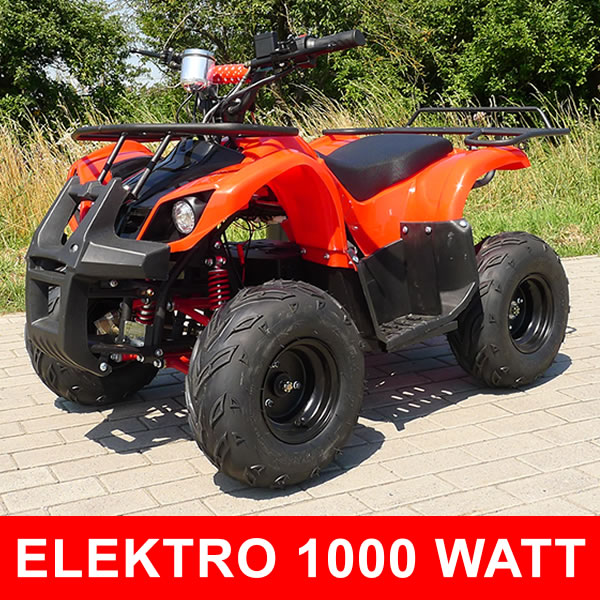 QUAD ELECTRIQUE 1000W 48V GRAND MODELE  S8 