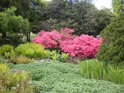 Entretien Des Espaces Verts