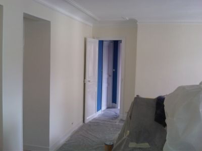 HOMME TOUTES MAINS PARIS-PEINTRE PROFESSIONNEL 20 ANS D'EXPERIENCE/0613727706