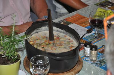 Sud ardeche locations  avec grande piscine sécurisée