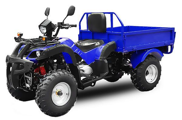 Quad 150cc Jinling DUMPER automatique + ma  cee 1pl homologué route 