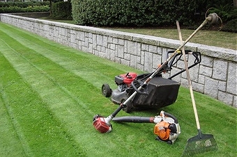 Services à la personne sur 94210 Saint-Maur-des-Fossés (Val-de-Marne)