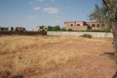 Terrain de 1293m² à vendre/Marrakech