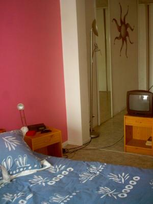 GRENOBLE APPARTEMENT T3