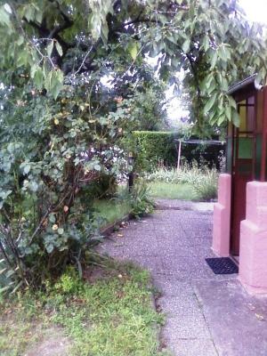 Maison 80m2 avec jardin clos et arboré