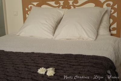 Appartement à louer pour votre séjour à Dijon 