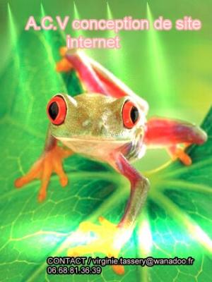 creation de site internet 