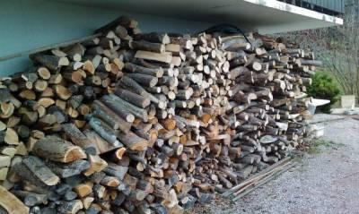 bois de chauffage ultra sec!!!  Garanti satisfait ou remboursé