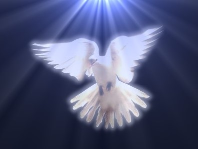 D’une conscience guerrière à une conscience gardienne