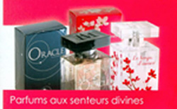 DISTRIBUTRICE / DISTRIBUTEUR BEAUTE PARFUMS