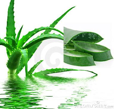 Travail à temps complet ou partiel