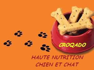 BEST CHOICE CROQUETTES SUPERPREMIUM