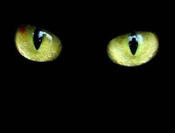 Solution Rapide aux problèmes