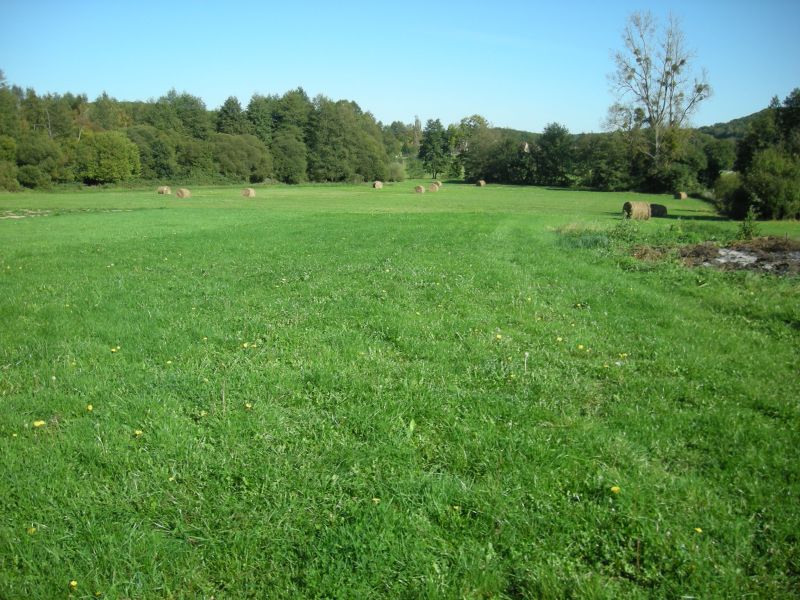 Terrain 370 000 euros proche Paris (61000m² Constructible)