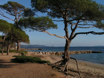 T2 La Londe Var, vue mer pieds dans l'eau, garage