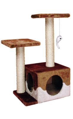 Tous les accessoires pour chats - Bons prix - Livraison dans toute la France