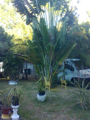 loue chambre meublé