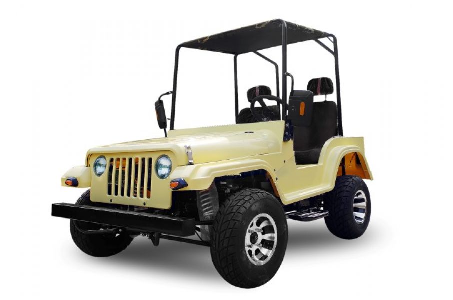 Jeep willys 200cc offroad boite auto + MA  avec treuil electrique  