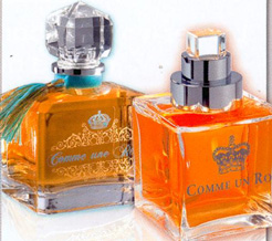 COMPLETEZ VOS REVENUS DEVENEZ V.D.I. BEAUTE