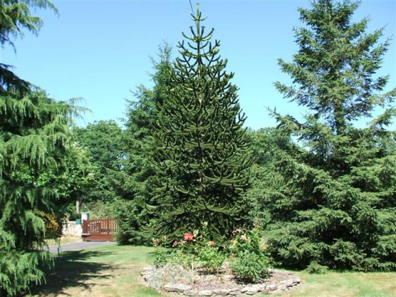 Logement étudiant proche Lorient