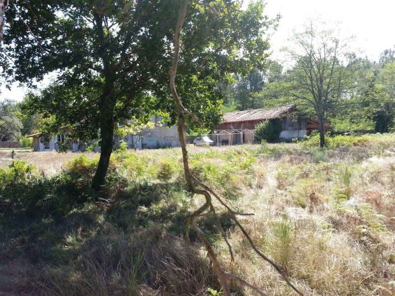 Maison d'hôtes ferme landaise 5 chambres à vendre