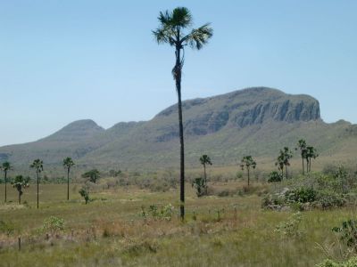 Possibilité de bénévolat au Brésil