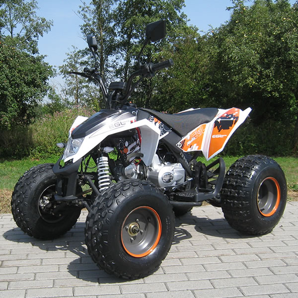 Quad mad max 50cc boite auto