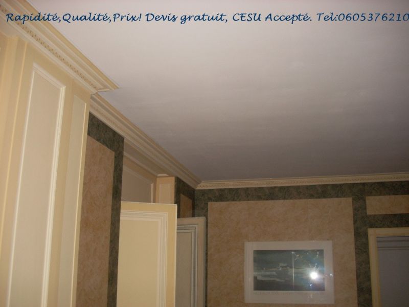 Travaux,rénovation habitat,Cesu accepté,Devis gratuit.(75000 et Ile de France)