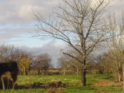 Propriété de 280  000 m² soit 28 ha