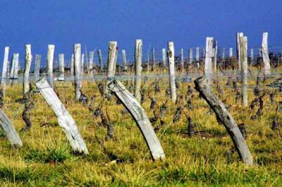 FORMATION PHOTOGRAPHIE MONTPELLIER par Tim Somerset