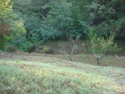 A 15mn d’ALES L AFFENADOU 30530 PORTES /4P