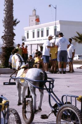 ***FABRICANT PETIT CHEVAUX A PEDALE***