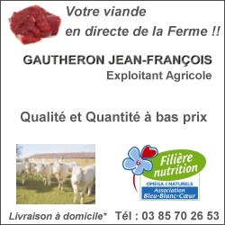 Viande bovine Bleu-Blanc-Coeur Charolais directe au Particulier