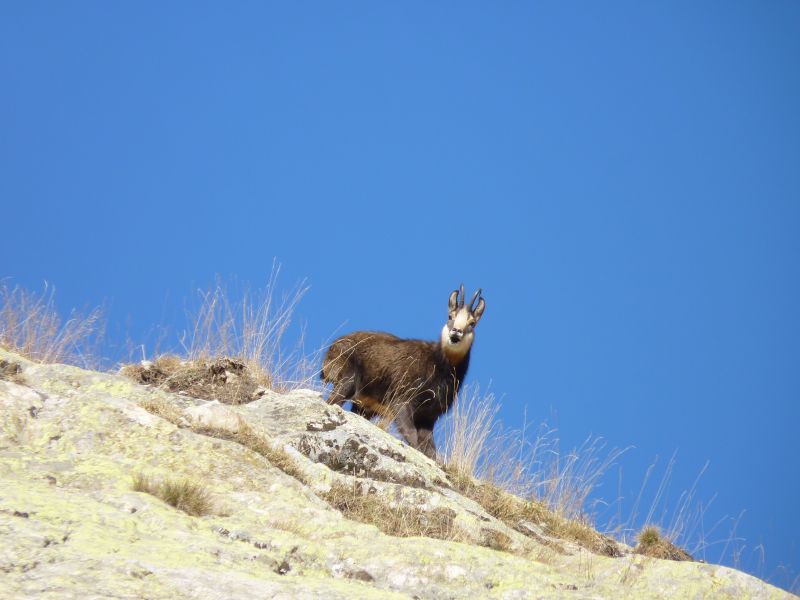 Randonnée Mercantour et Merveilles