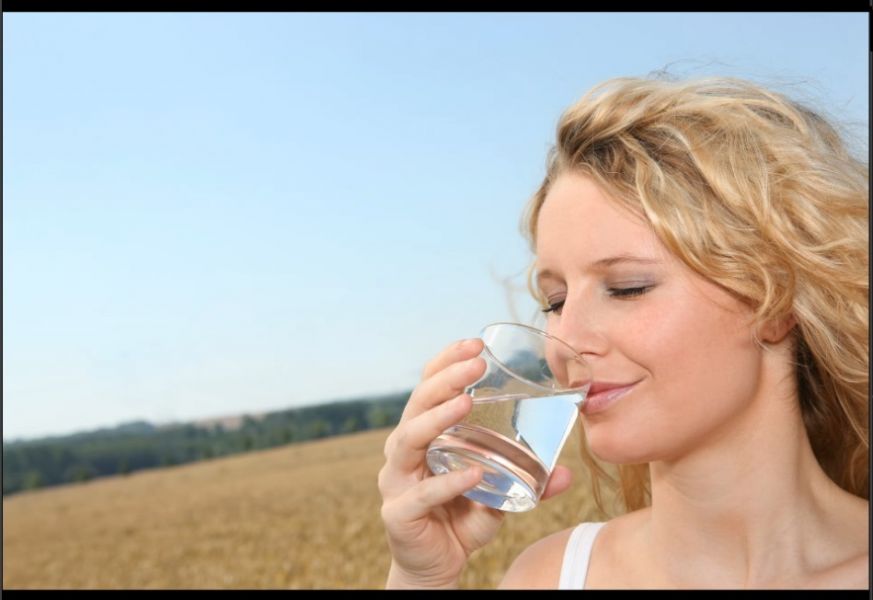 Purificateur écologique de l'eau 