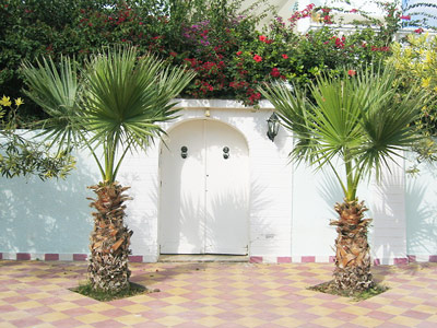 Villa à vendre près de la mer en Tunisie