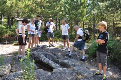 Sud ardeche locations  avec grande piscine sécurisée