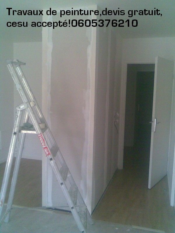 Travaux de rénovations habitat intérieur,travaux de peinture,Cesu accepté.