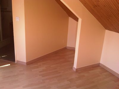 HUMIDITE:DIAGNOSTICS ET TRAITEMENT/PEINTRE PROFESSIONNEL/0613727706