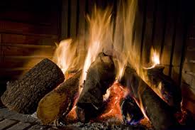 Meilleurs prix de bois de chauffage (30€)