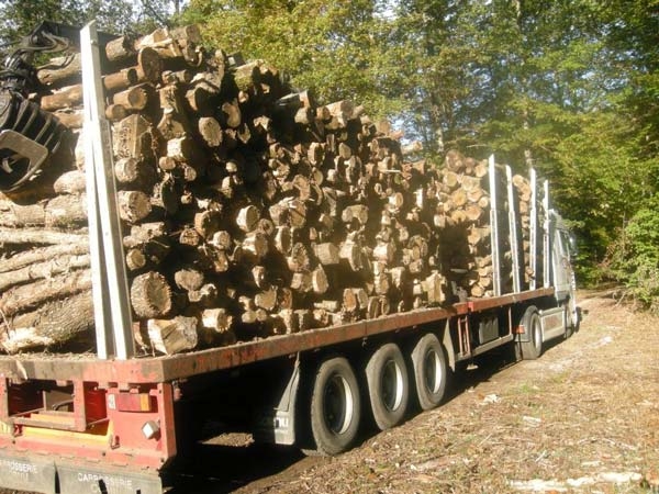 Promo de bois de chauffage 100% sec +livraison gratuite a 30€