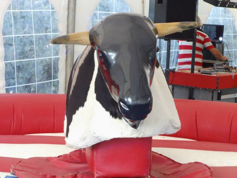 Rodeo de Noël à louer